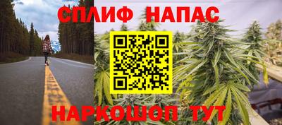 СК Канаш