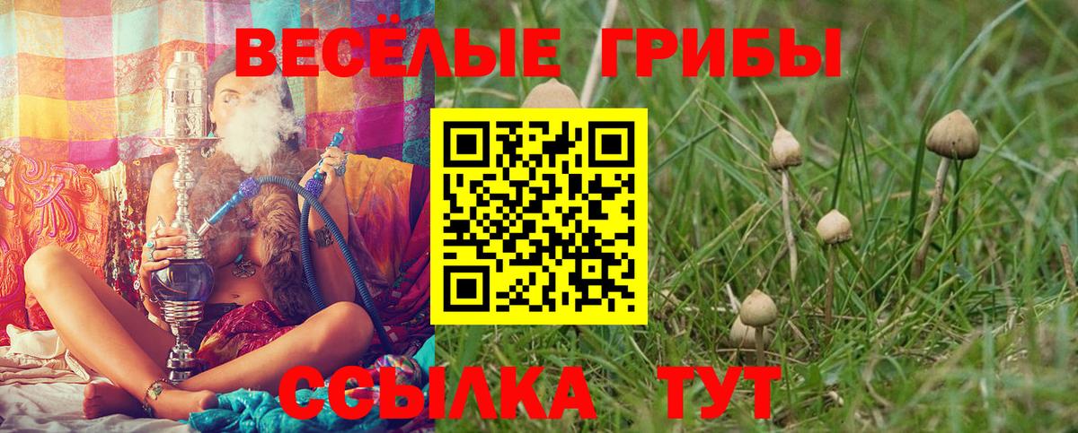 Кумертау  Галлюциногенные грибы ЛСД  Вход с VPN  Псилоцибиновые грибы GOLDEN TEACHER 
